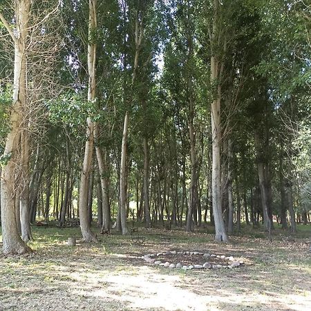 Cabana Ecologica Uspallata Exteriér fotografie