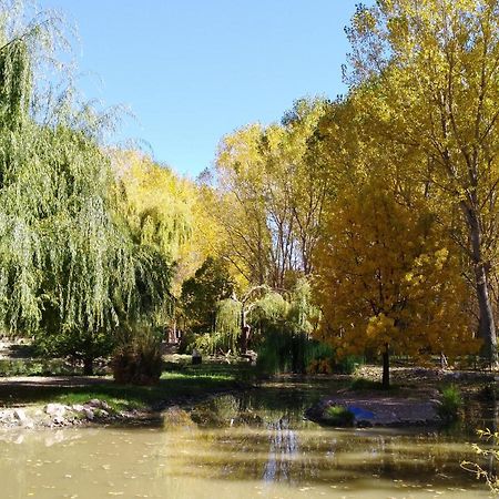 Cabana Ecologica Uspallata Exteriér fotografie